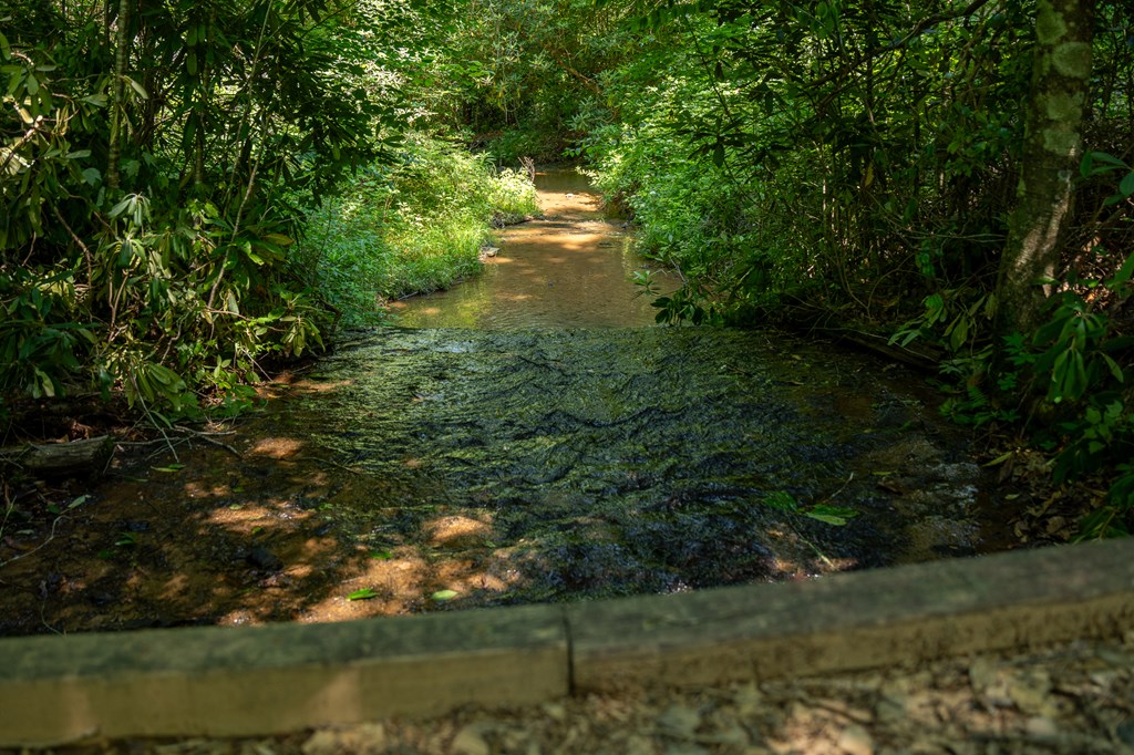 00 Brown Lane, MARBLE, North Carolina image 11