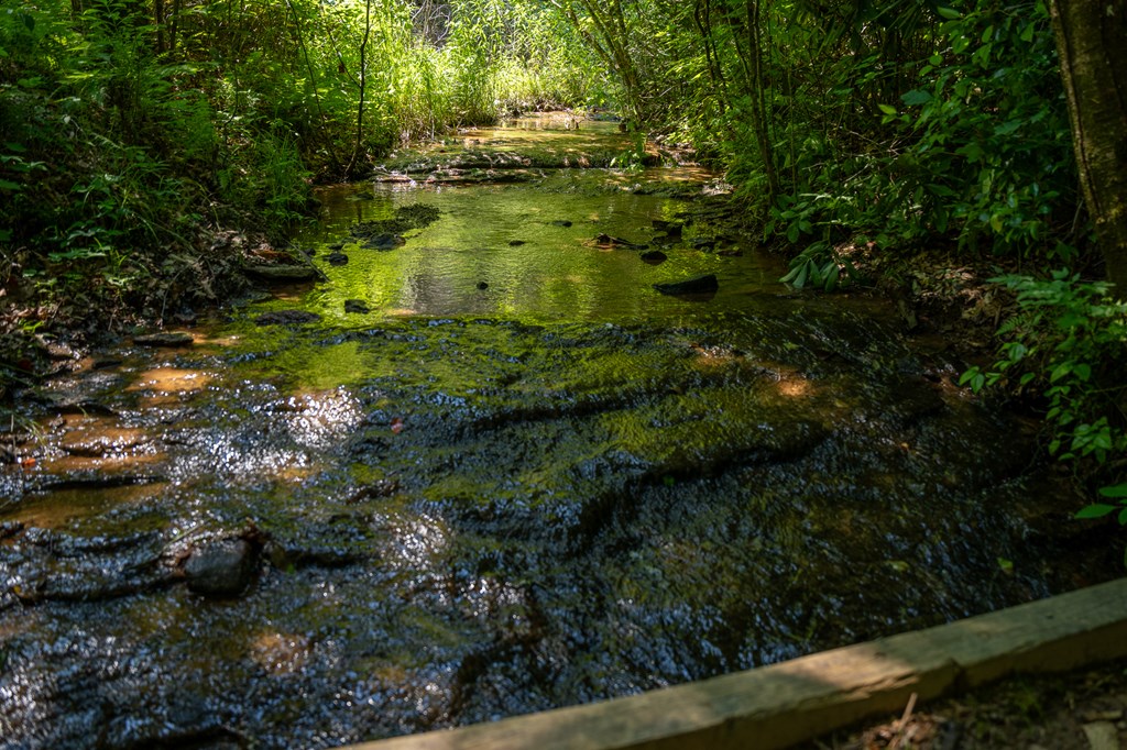 00 Brown Lane, MARBLE, North Carolina image 12