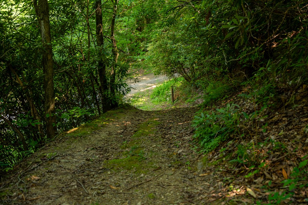 00 Brown Lane, MARBLE, North Carolina image 32