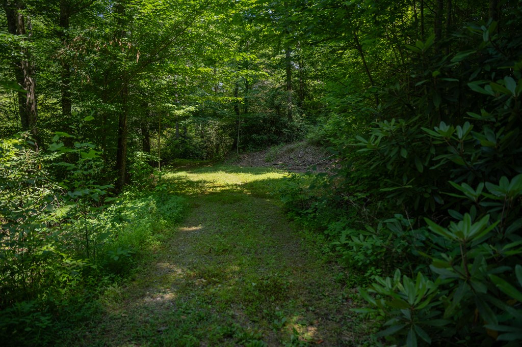 00 Brown Lane, MARBLE, North Carolina image 13