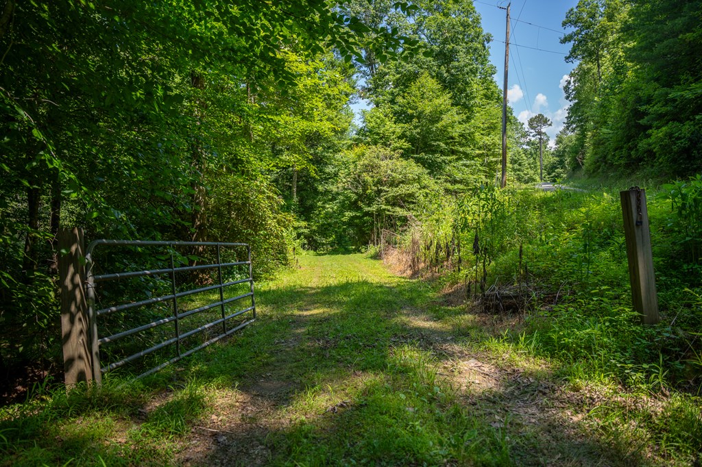 00 Brown Lane, MARBLE, North Carolina image 6