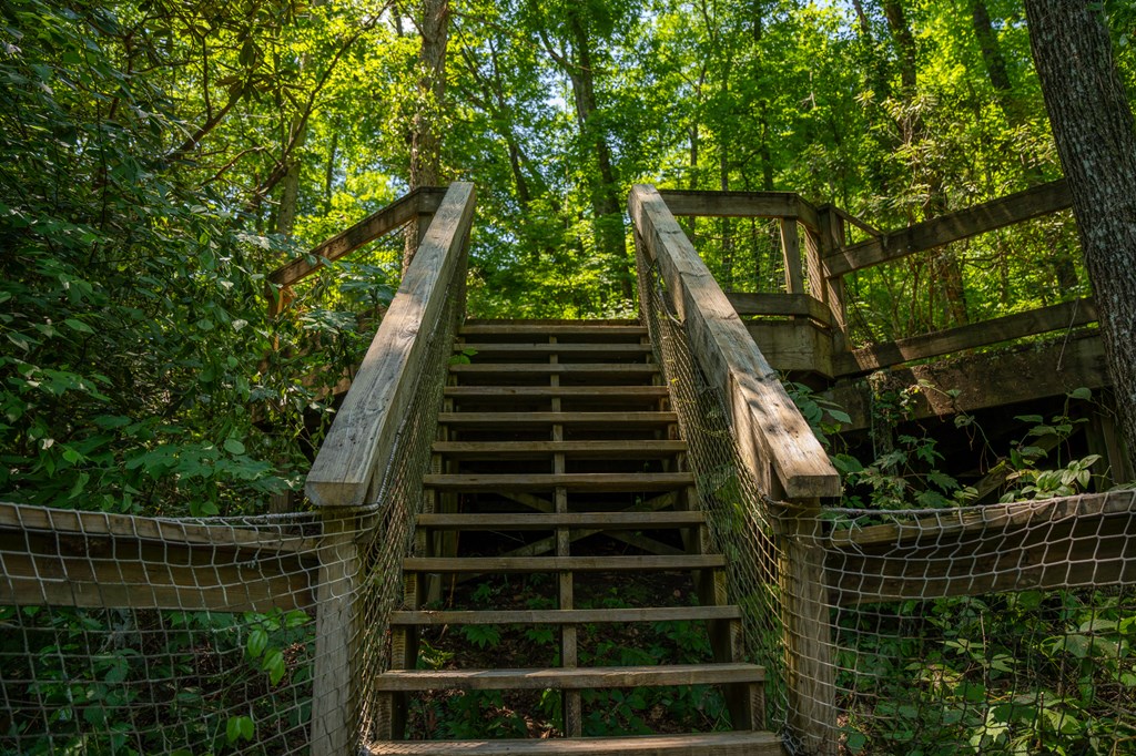 00 Brown Lane, MARBLE, North Carolina image 31