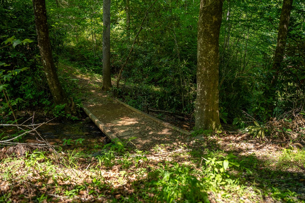 00 Brown Lane, MARBLE, North Carolina image 9