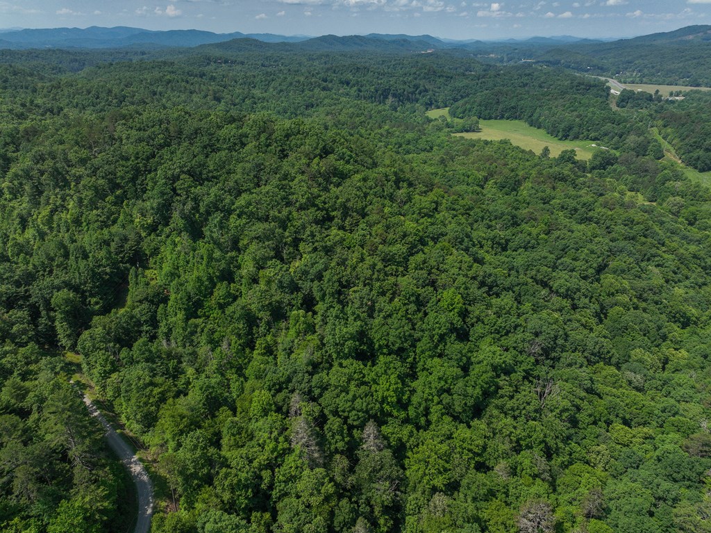 00 Brown Lane, MARBLE, North Carolina image 5