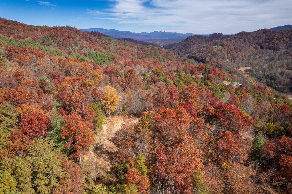 Lot 2 Wolf Creek Heights, ALMOND, North Carolina image 12