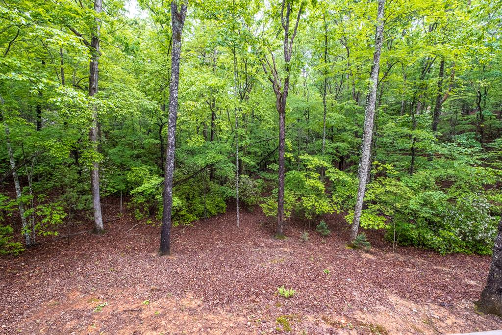 41 Carrolls Ridge, MURPHY, North Carolina image 26