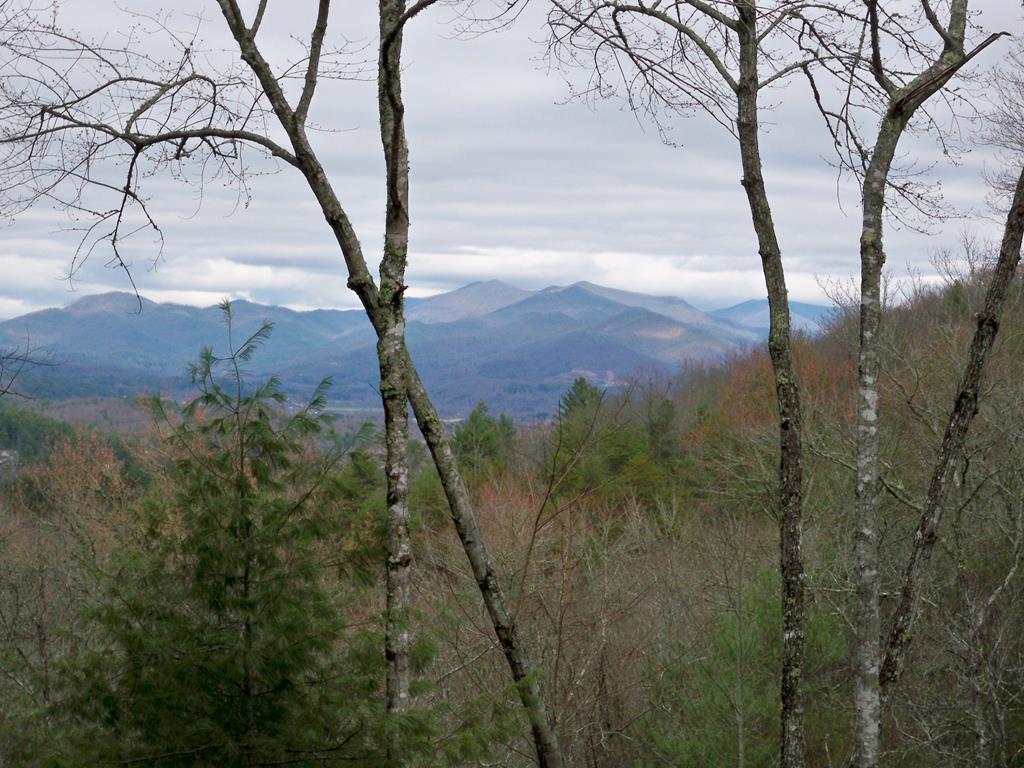 101 River Mountain Drive #101, MURPHY, North Carolina image 4