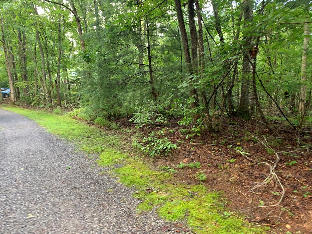 101 River Mountain Drive #101, MURPHY, North Carolina image 3