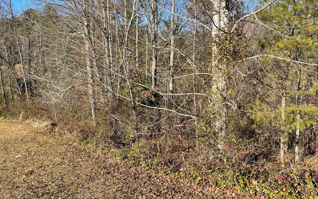 Lot 134A Mountain Harbour #134A, HAYESVILLE, North Carolina image 24