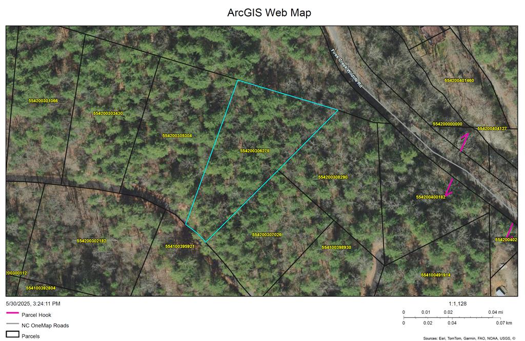 Lot 11 Bear Cove At Fires Creek #11, HAYESVILLE, North Carolina image 1