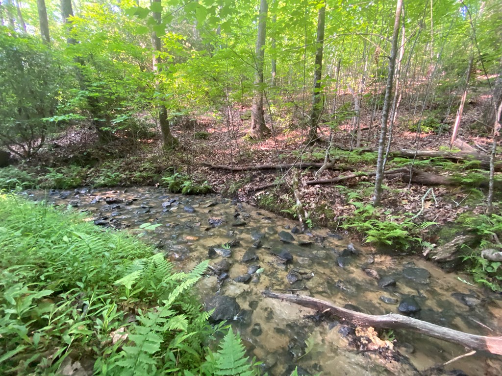 23 Surrey Trail #23, MURPHY, North Carolina image 9