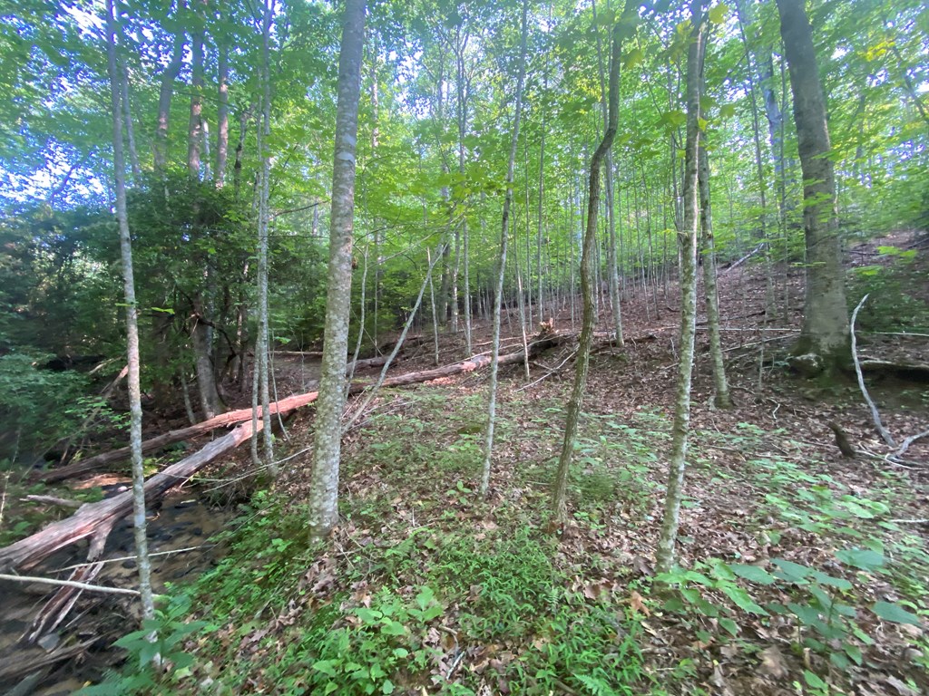 23 Surrey Trail #23, MURPHY, North Carolina image 13