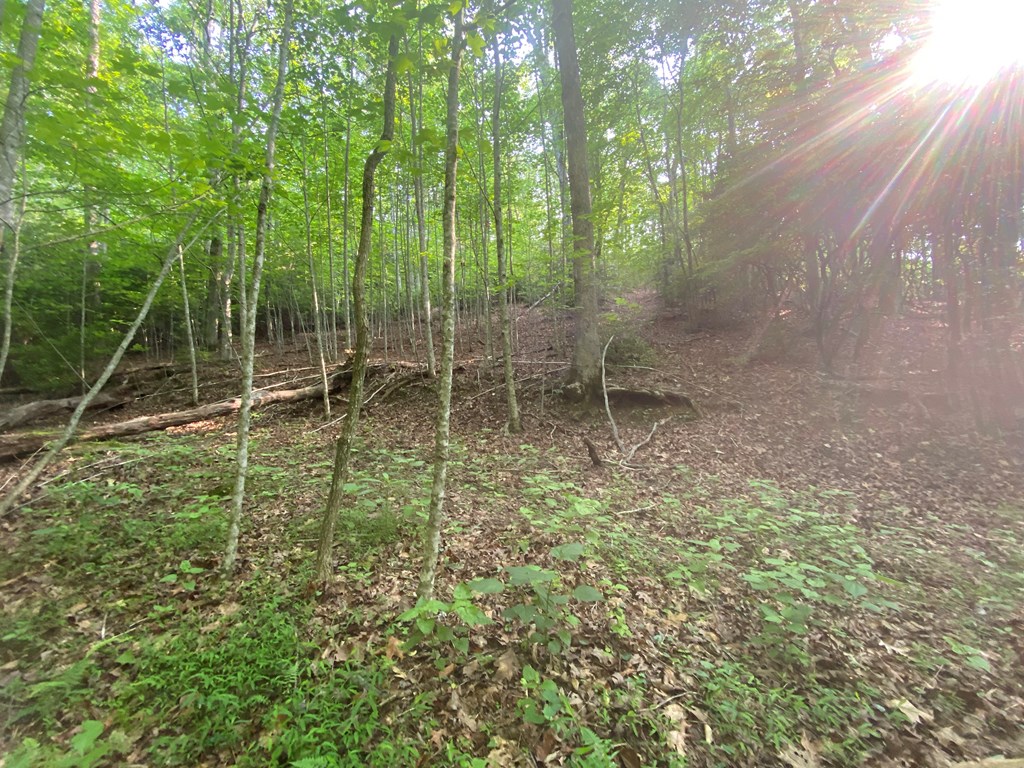 23 Surrey Trail #23, MURPHY, North Carolina image 3