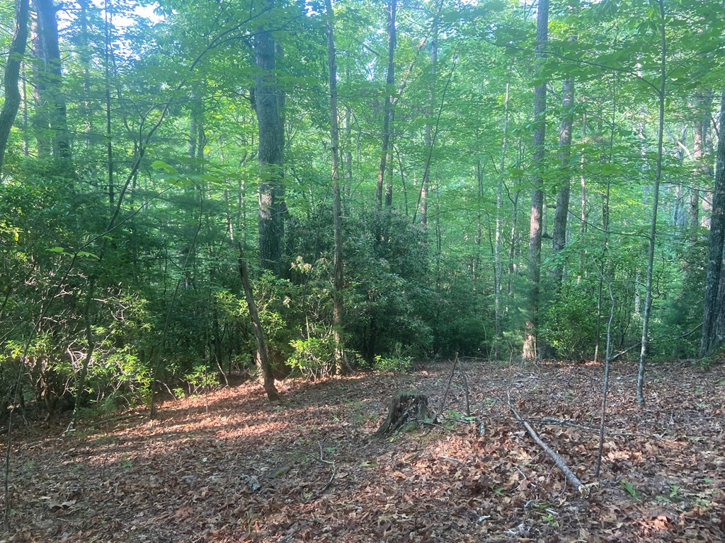 23 Surrey Trail #23, MURPHY, North Carolina image 7