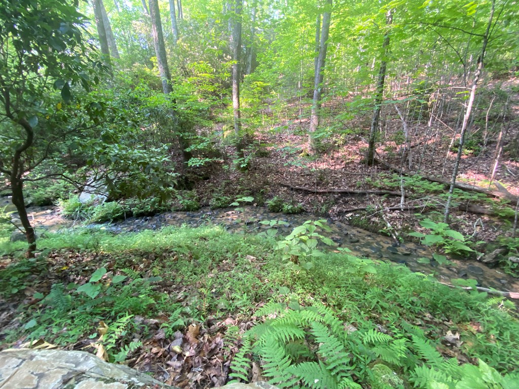 23 Surrey Trail #23, MURPHY, North Carolina image 8