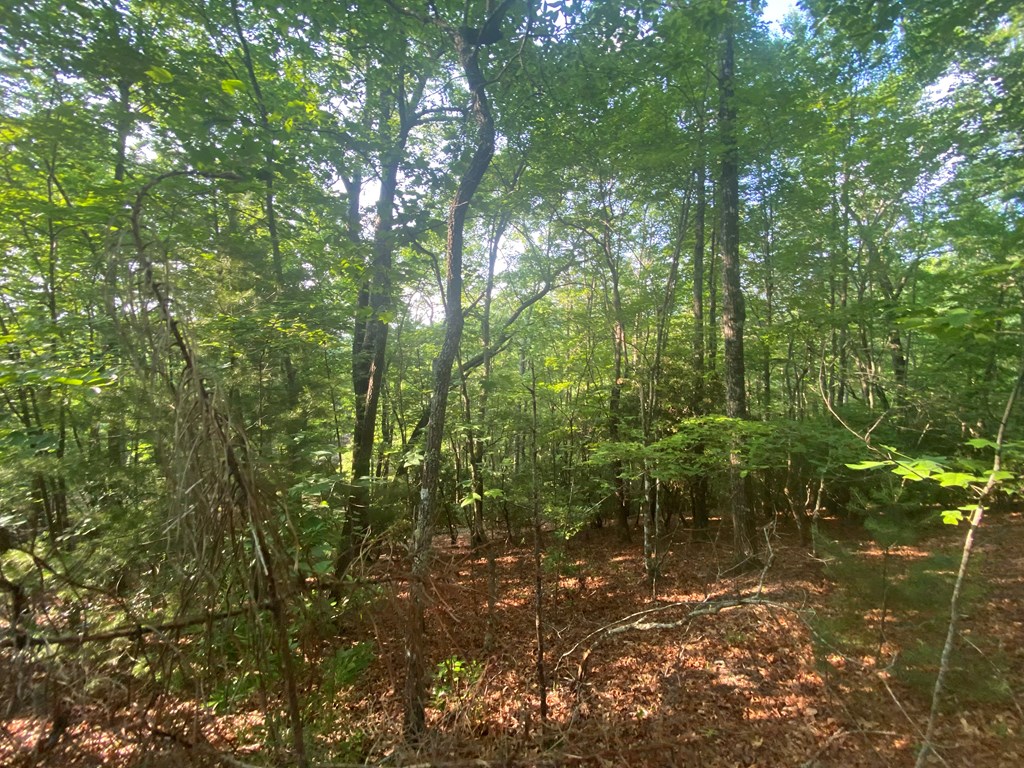 23 Surrey Trail #23, MURPHY, North Carolina image 10