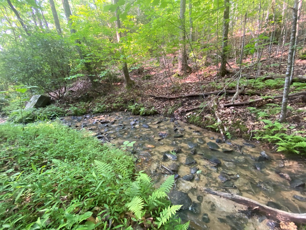 23 Surrey Trail #23, MURPHY, North Carolina image 5