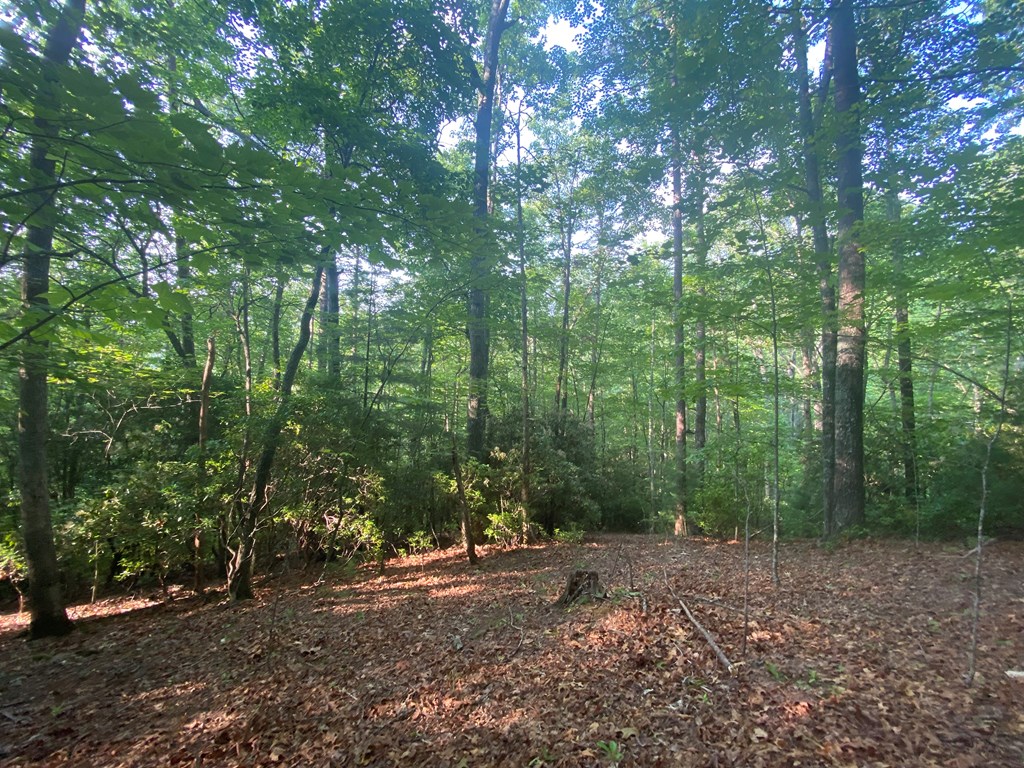 23 Surrey Trail #23, MURPHY, North Carolina image 12