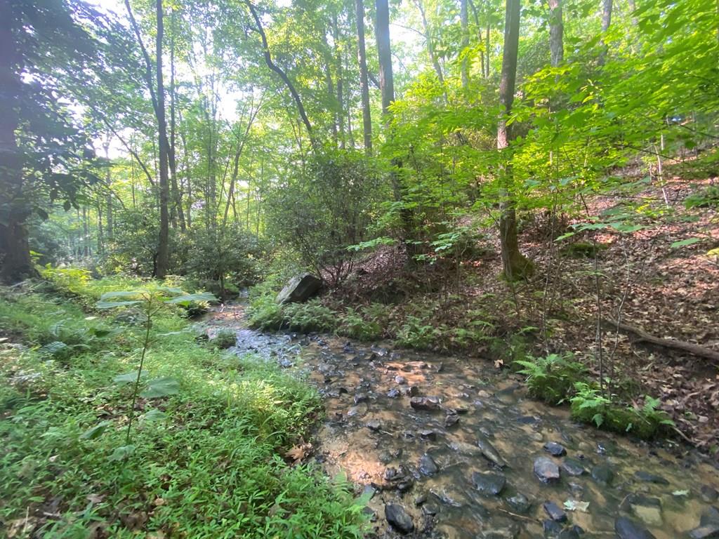 23 Surrey Trail #23, MURPHY, North Carolina image 1