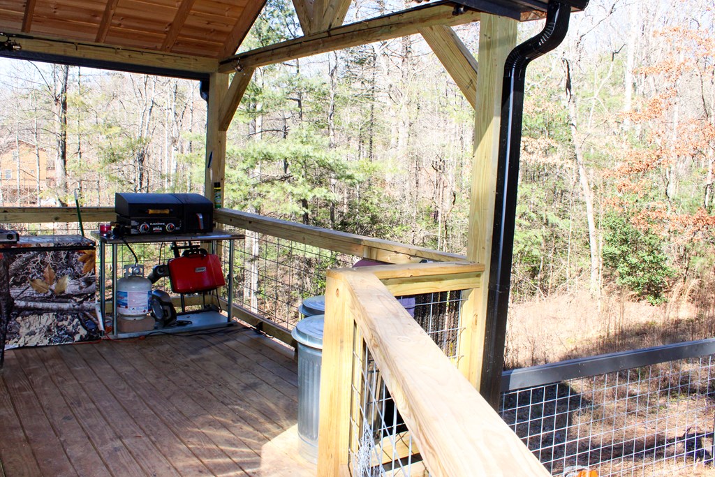 188 Cherokee Rd, BLAIRSVILLE, Georgia image 9