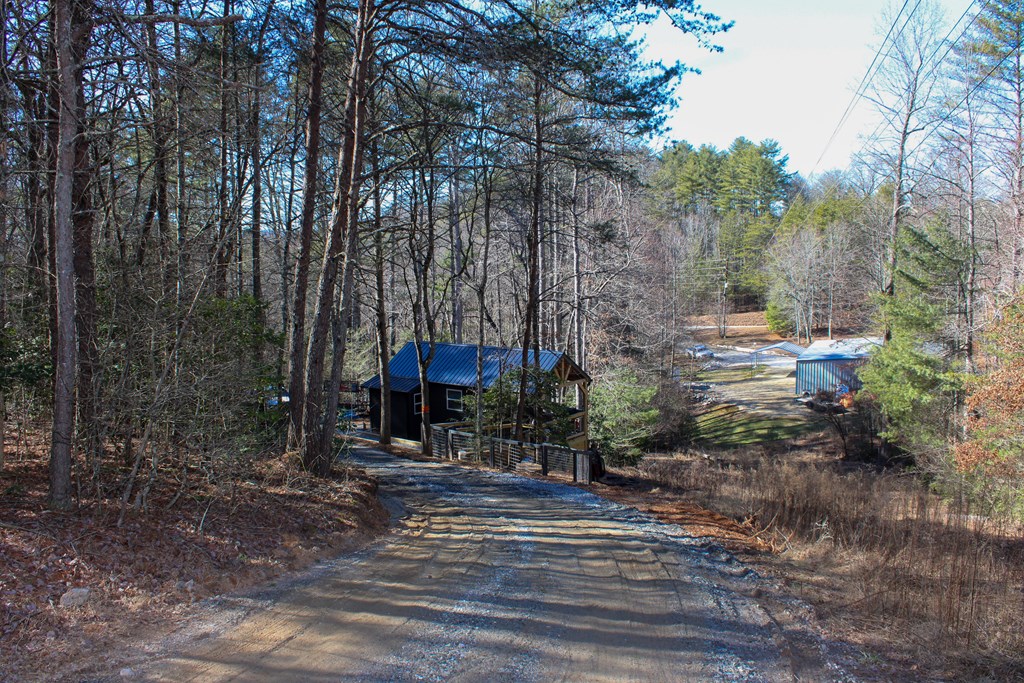 188 Cherokee Rd, BLAIRSVILLE, Georgia image 2
