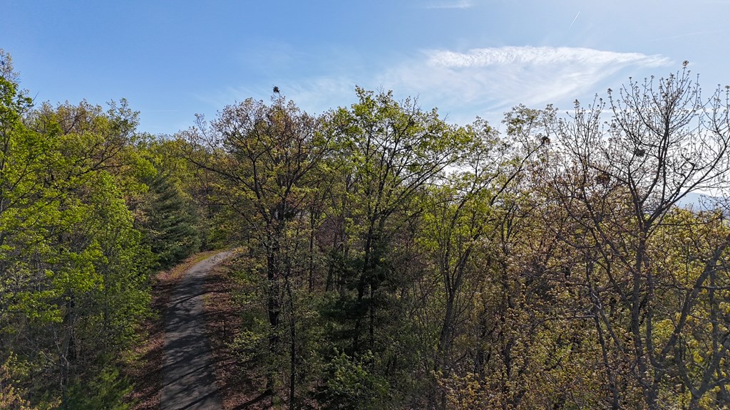Lot 52 Ivy Bend #52, MURPHY, North Carolina image 3