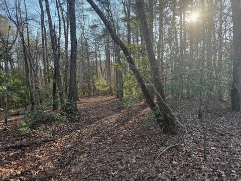 Vacant Land For Sale - LOT 3 Willow Ridge #10B-3<br/> WARNE, NC 28909