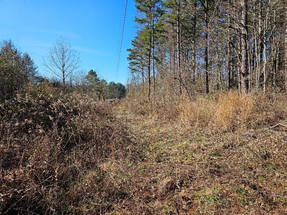 2.0 Ac Floyd Stalcup Road, MURPHY, North Carolina image 9