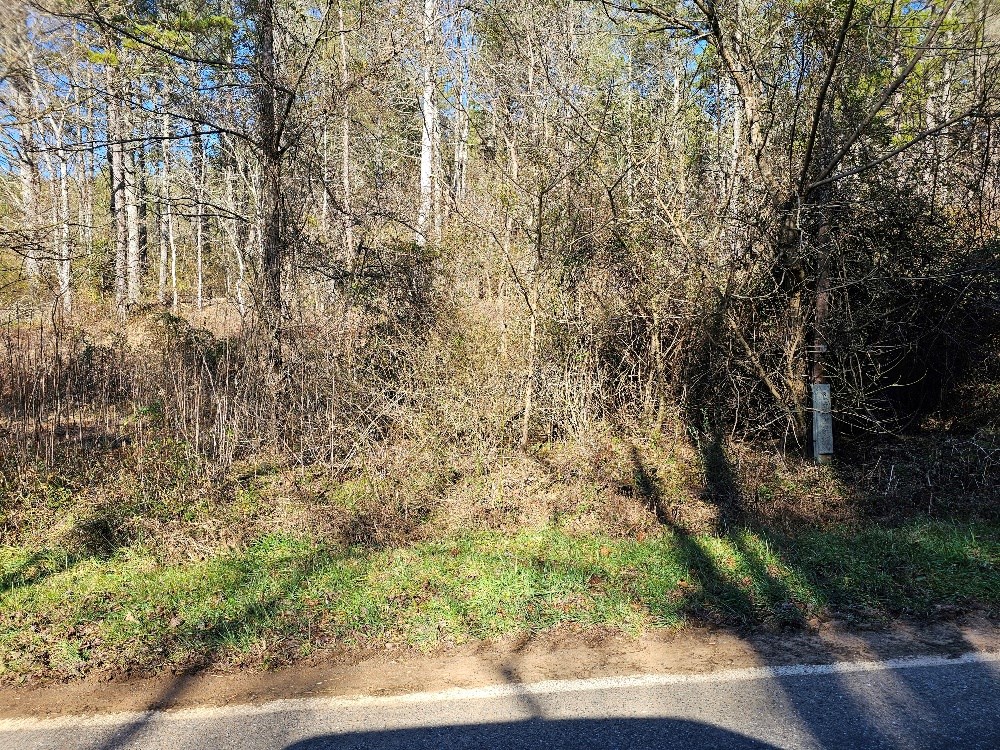 2.0 Ac Floyd Stalcup Road, MURPHY, North Carolina image 4