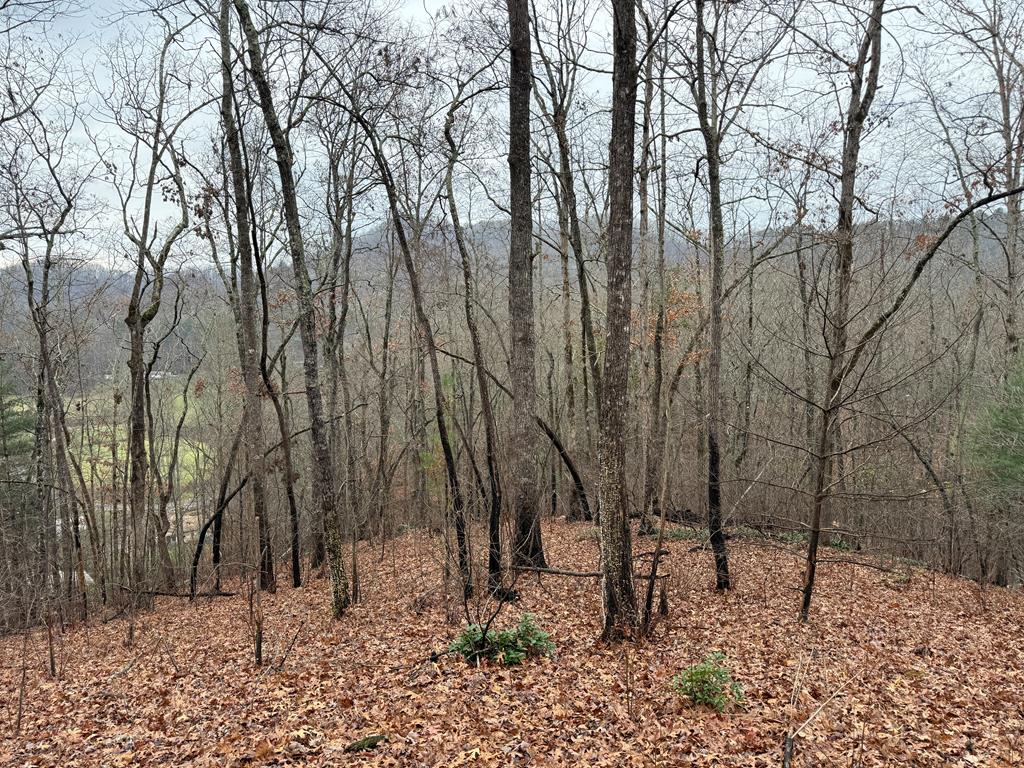 Photo 1 of 7 — 0 Flaming Ridge Unit 27, HAYESVILLE, NC 28904