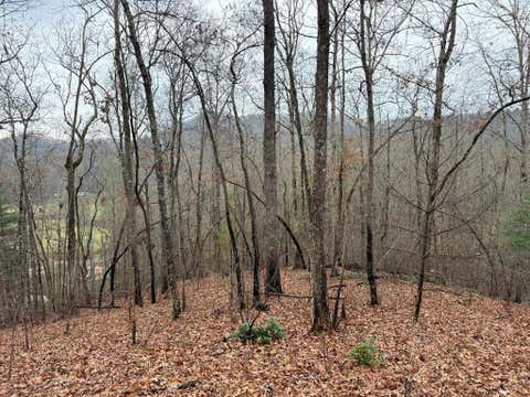 Vacant Land For Sale - Flaming Ridge #27<br/> HAYESVILLE, NC 28904