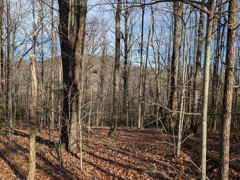 Vacant Land For Sale - LOT 20 Wilderness Creek Way #20<br/> MURPHY, NC 28906