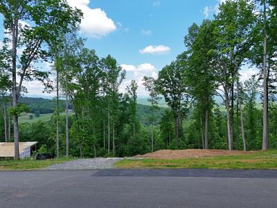 Lot 139 Winding Ridge #139, BLAIRSVILLE, Georgia image 1