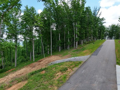 Lot 139 Winding Ridge #139, BLAIRSVILLE, Georgia image 3