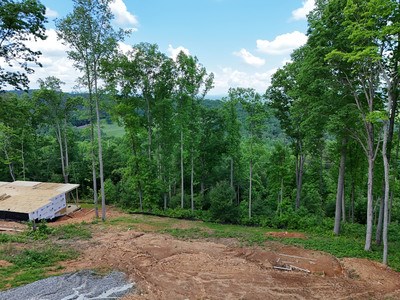 Lot 139 Winding Ridge #139, BLAIRSVILLE, Georgia image 4