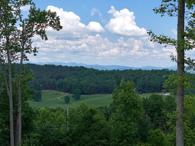 Lot 139 Winding Ridge #139, BLAIRSVILLE, Georgia image 6