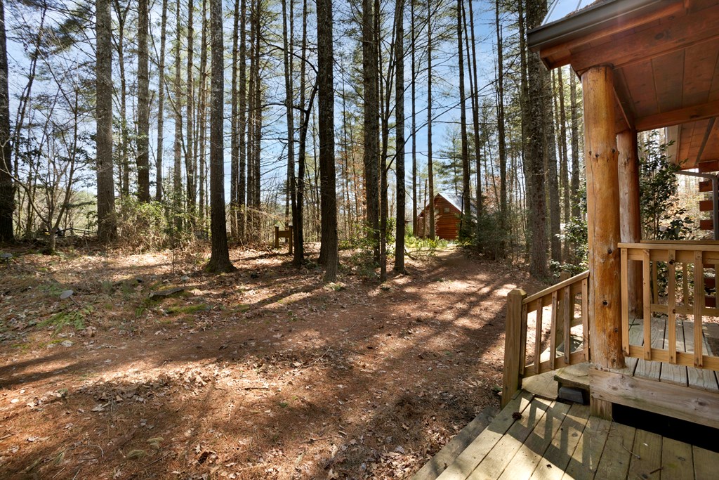 311 Vineyard Creek Way, MURPHY, North Carolina image 6
