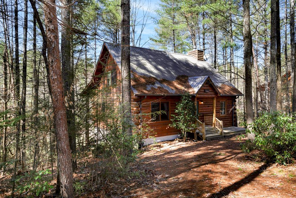 311 Vineyard Creek Way, MURPHY, North Carolina image 2