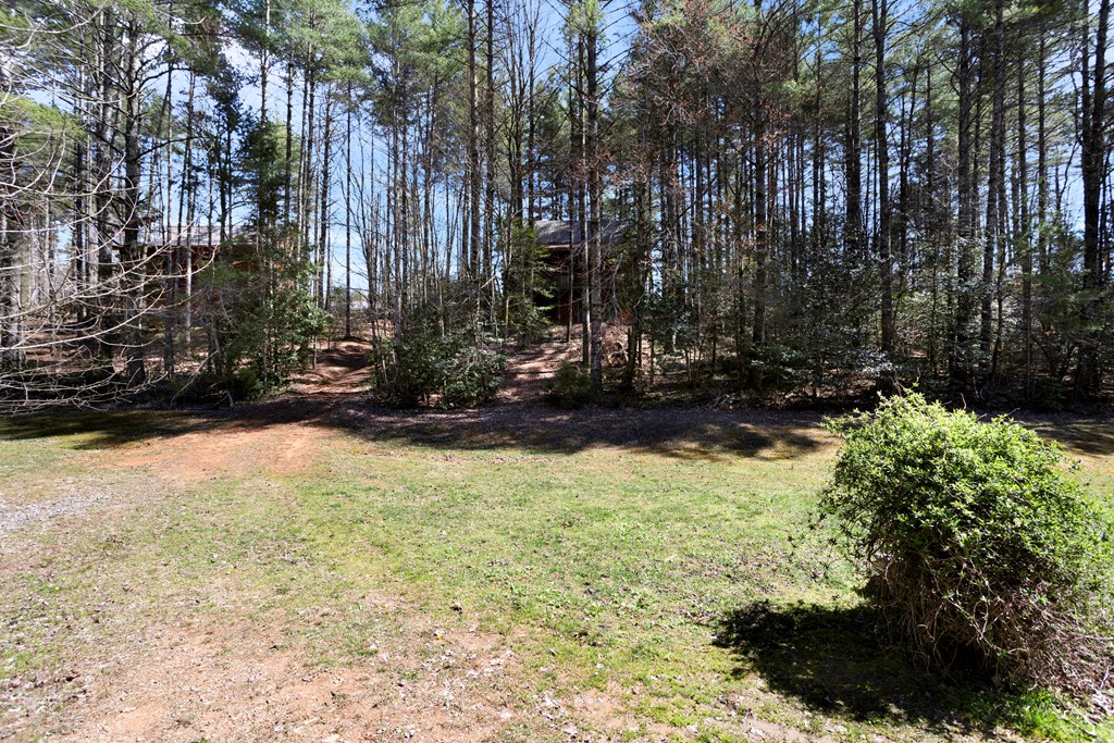 311 Vineyard Creek Way, MURPHY, North Carolina image 24