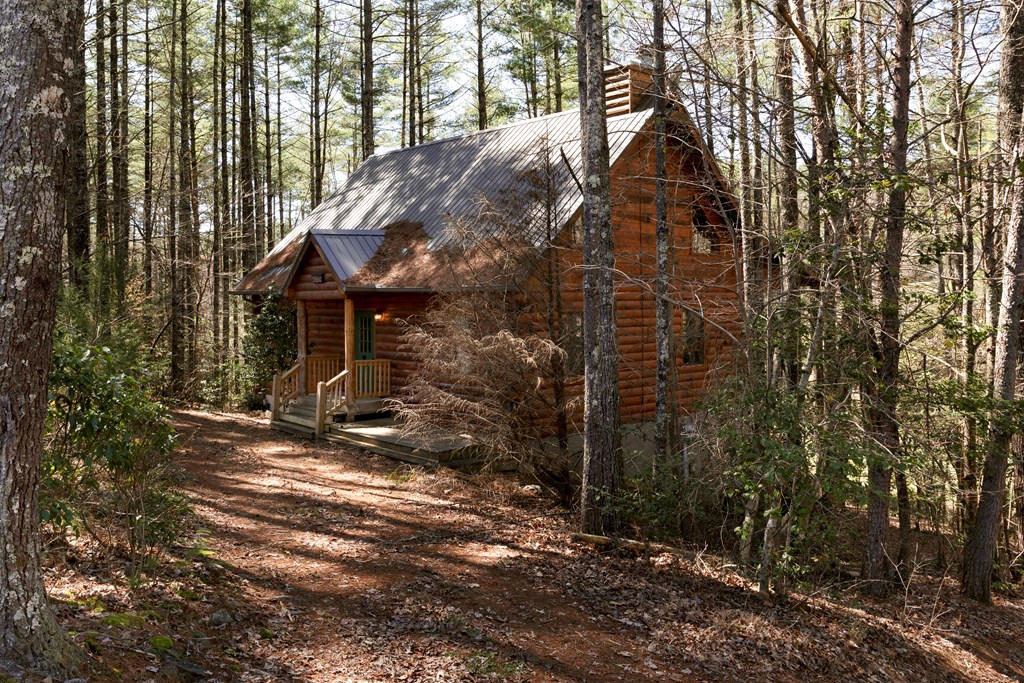 311 Vineyard Creek Way, MURPHY, North Carolina image 4