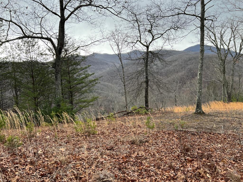 Lot 137 Shiloh Ridge #137, HAYESVILLE, North Carolina image 1