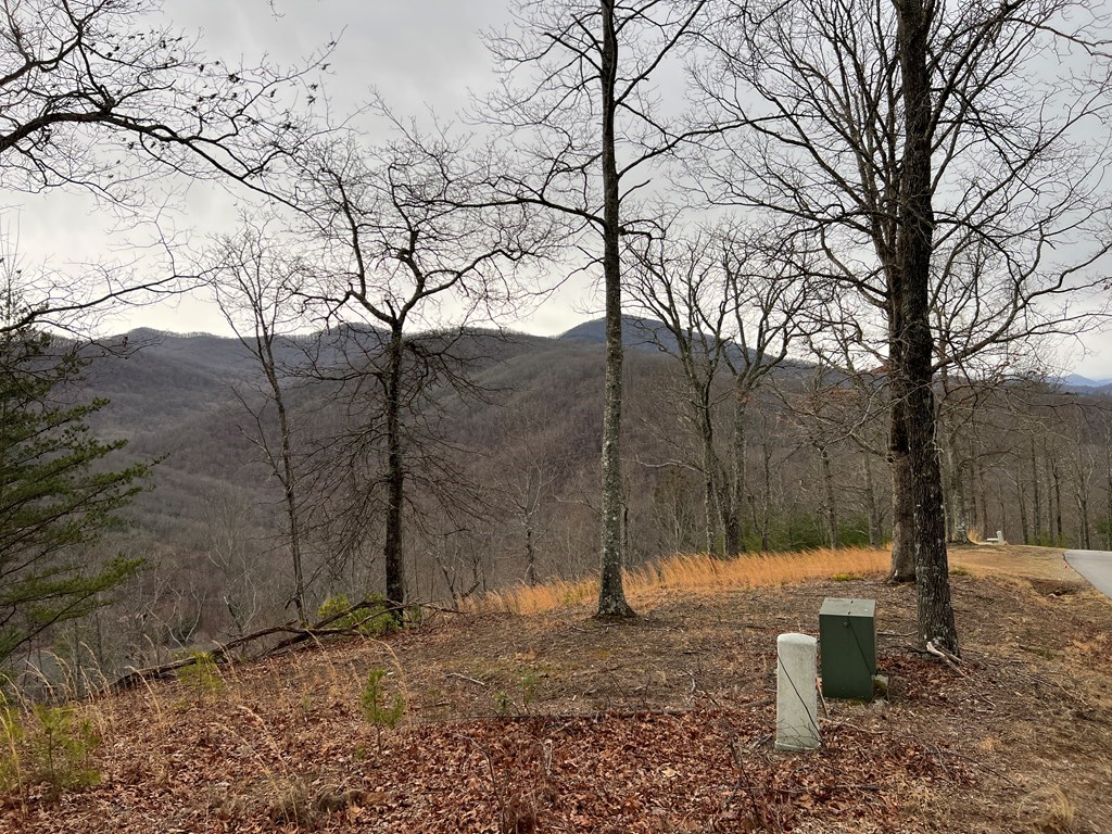 Lot 137 Shiloh Ridge #137, HAYESVILLE, North Carolina image 8