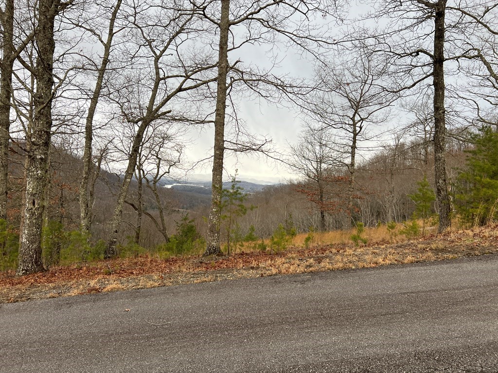 Lot 137 Shiloh Ridge #137, HAYESVILLE, North Carolina image 24