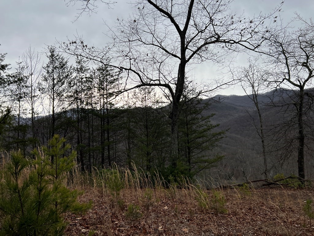 Lot 137 Shiloh Ridge #137, HAYESVILLE, North Carolina image 10