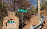 Lot 57 Fires Creek Cove #57, HAYESVILLE, North Carolina image 9