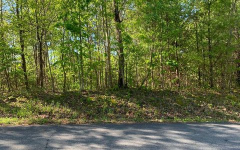 Vacant Land For Sale - LOT 57 Fires Creek Cove #57<br/> Clay County, HAYESVILLE, NC 28904