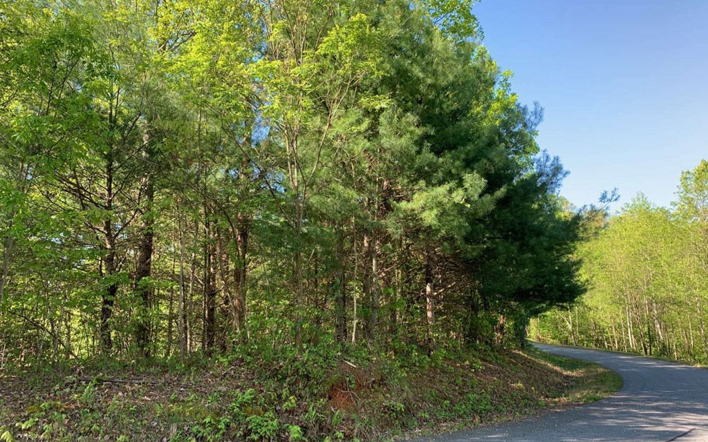 Lot 57 Fires Creek Cove #57, HAYESVILLE, North Carolina image 10