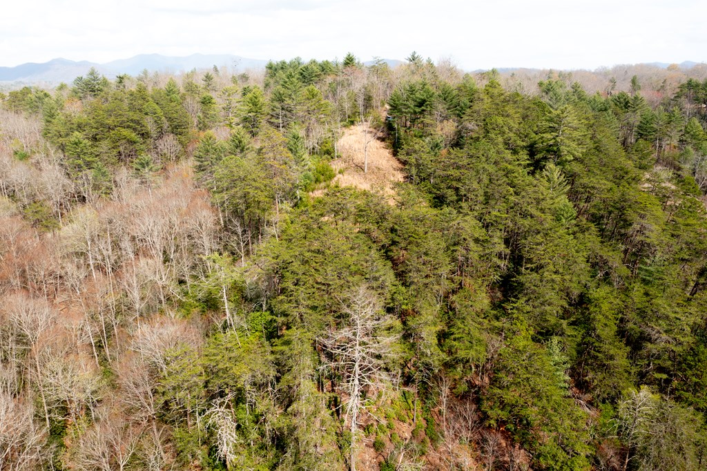 000 Mountain Watch Ln #120, MURPHY, North Carolina image 6