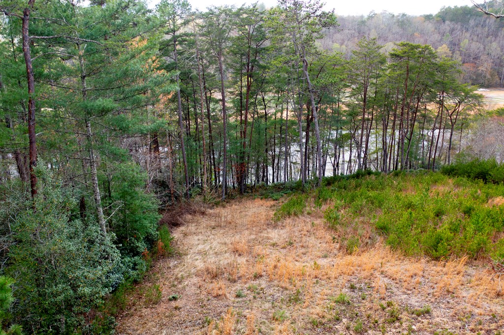 000 Mountain Watch Ln #120, MURPHY, North Carolina image 9