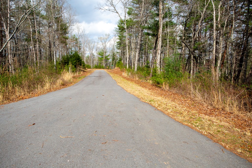 000 Mountain Watch Ln #120, MURPHY, North Carolina image 12